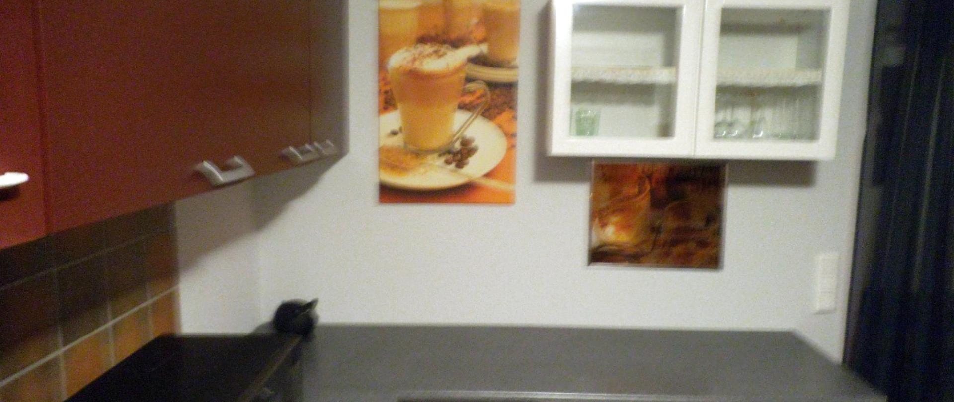 kueche8.JPG